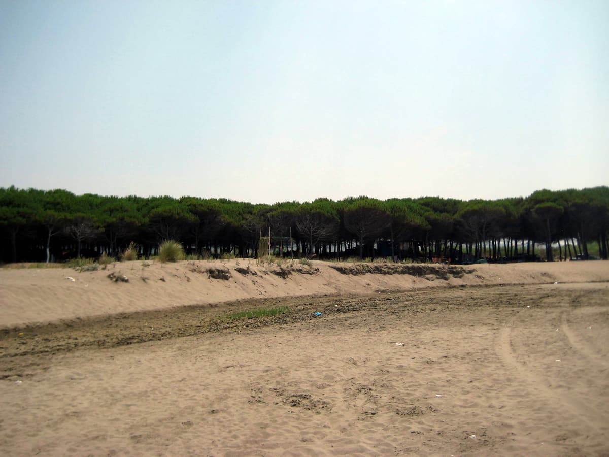 Spille Beach, Albania: Plazhi qe duhet vizituar kete vere