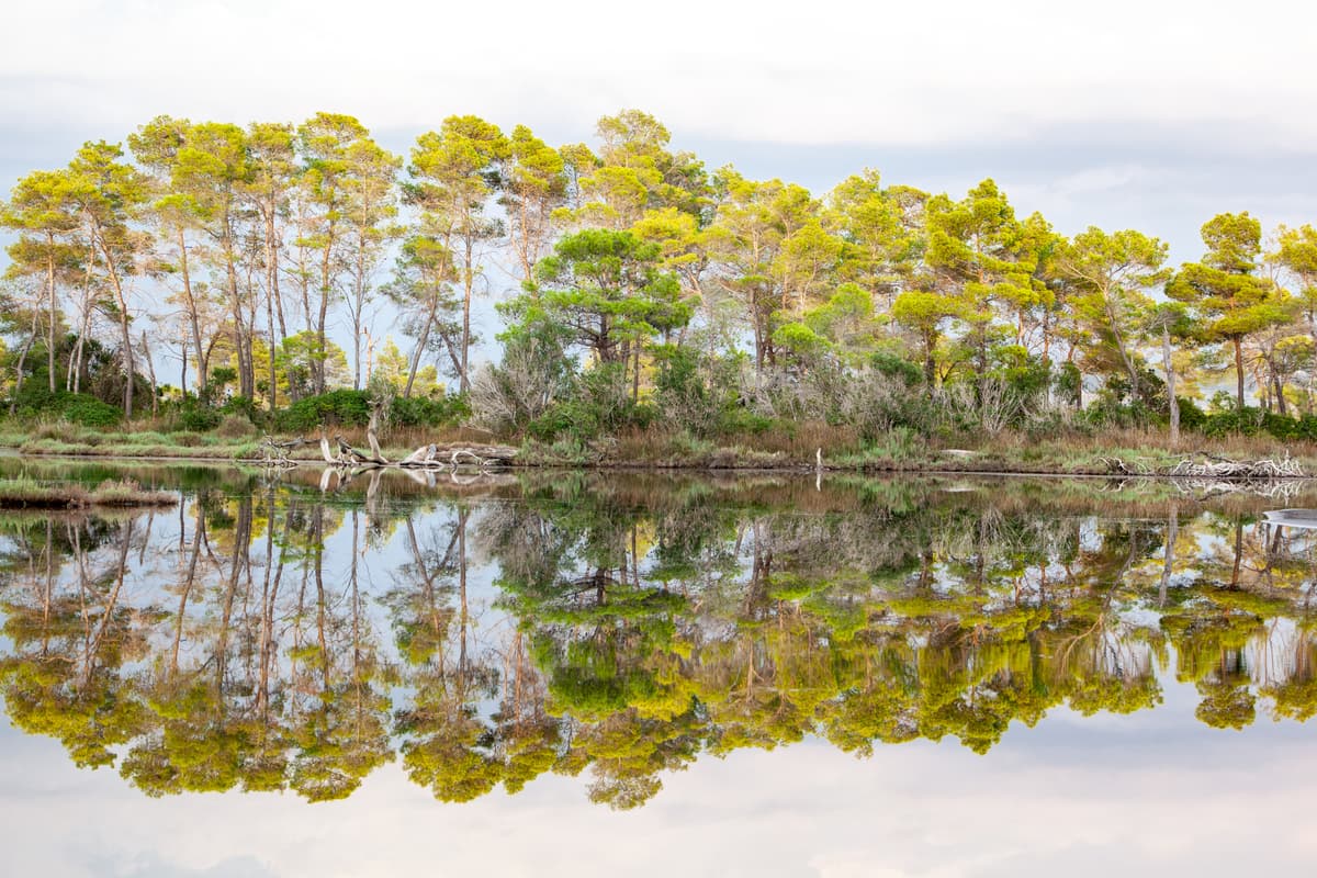 Divjaka-Karavasta National Park, Albania: Guide veror per udhetare